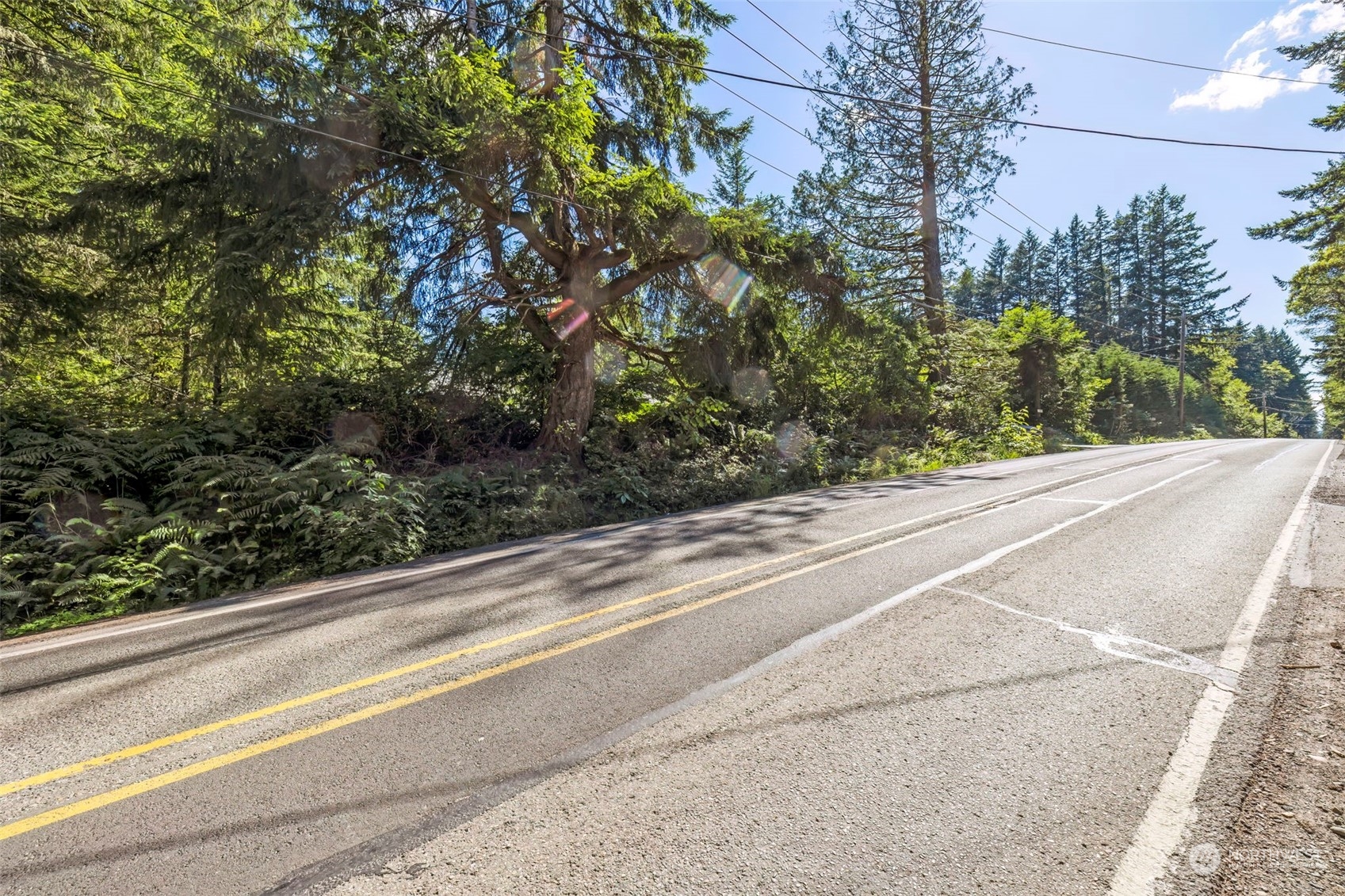 0 Southwest Wildwood Road Port Orchard, WA 98367 - Photo 4 of 5 Gallery Image 4
