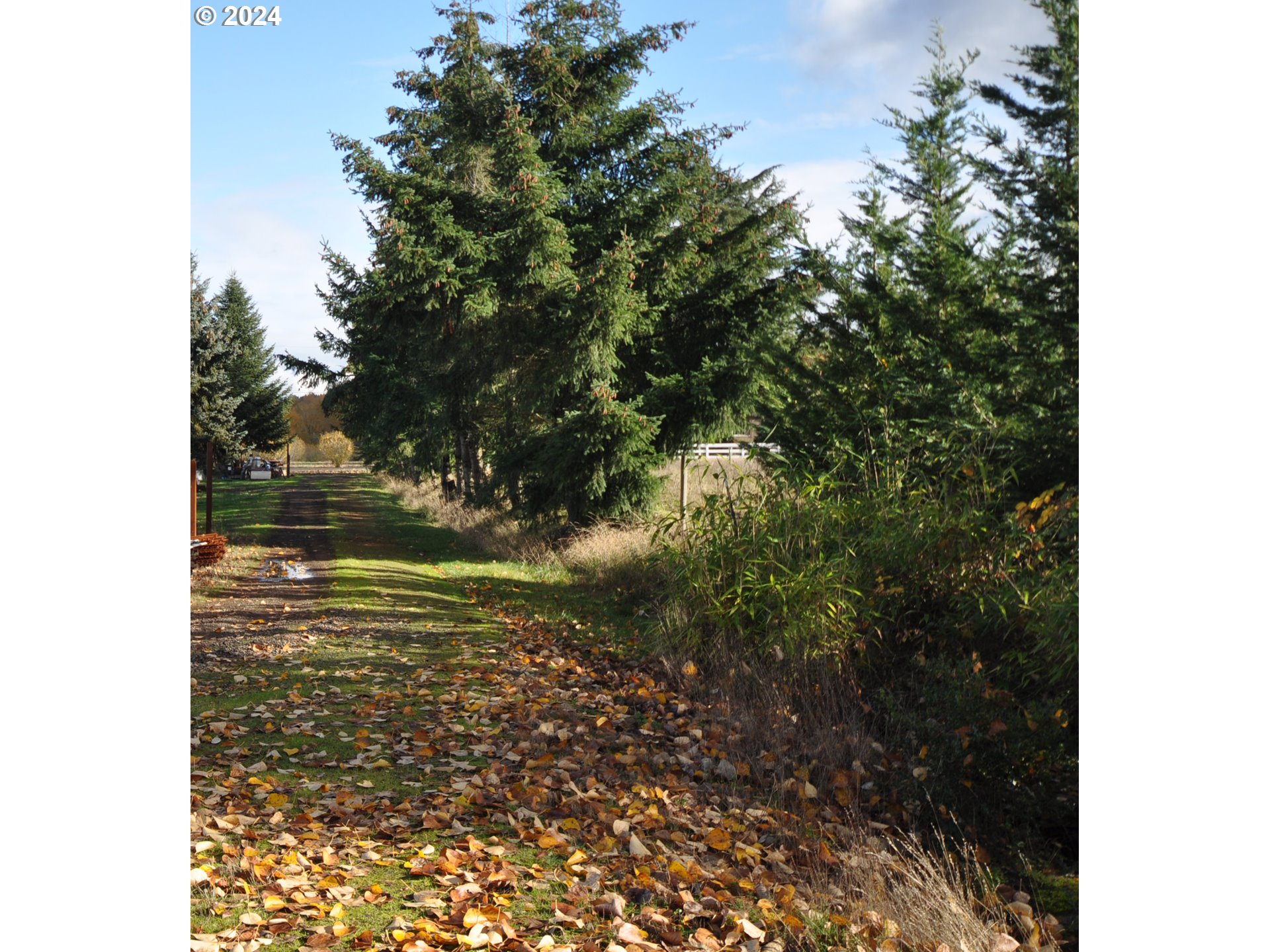 15079 South Beaton Road Oregon City, OR 97045 - Photo 8 of 17 View