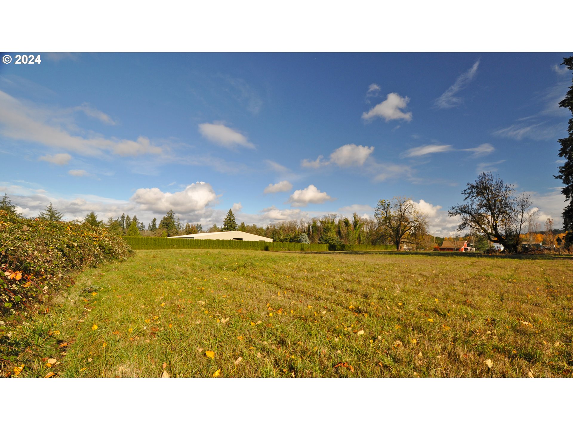 15079 South Beaton Road Oregon City, OR 97045 - Photo 9 of 17 View