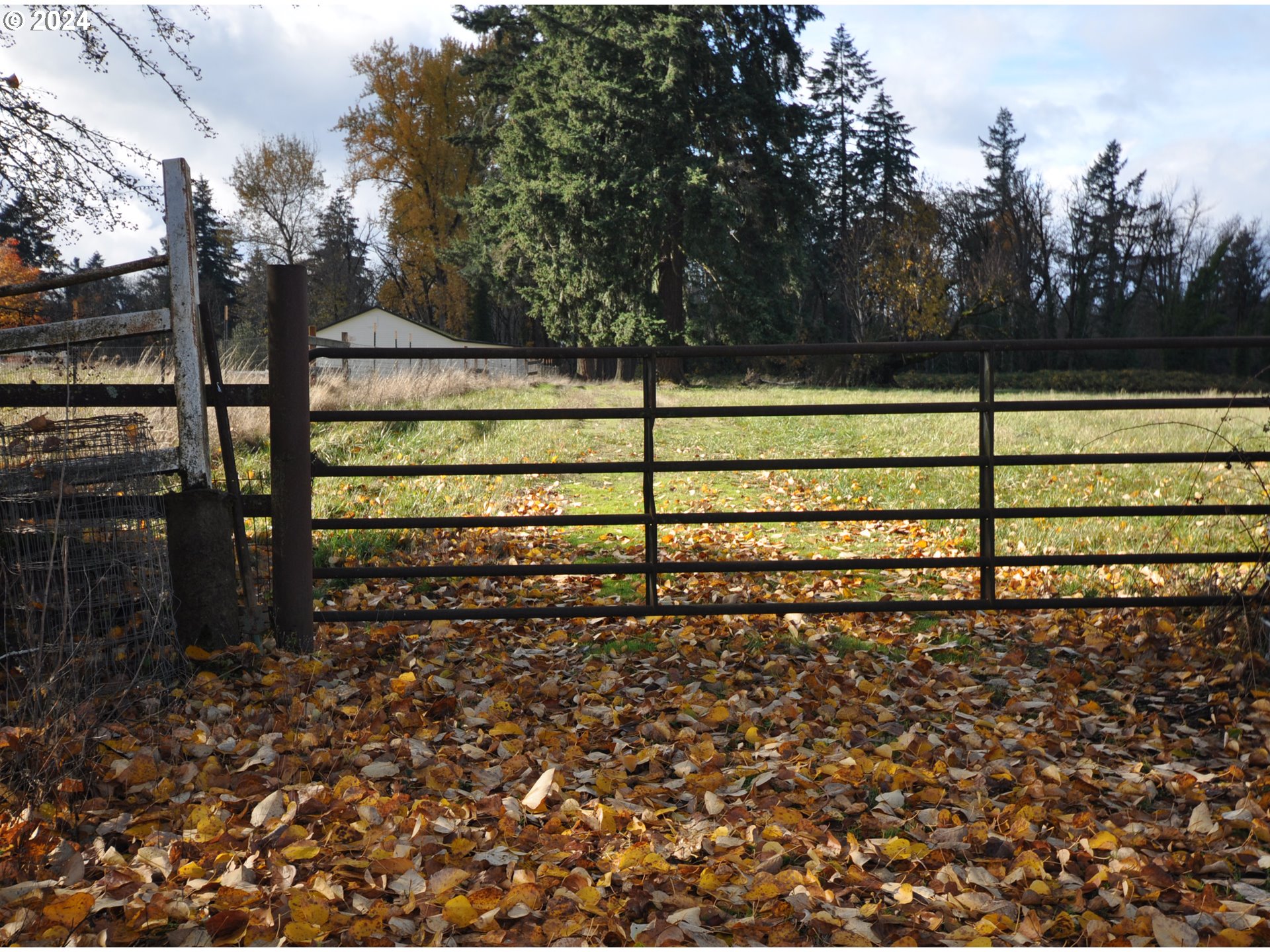 15079 South Beaton Road Oregon City, OR 97045 - Photo 10 of 17 View