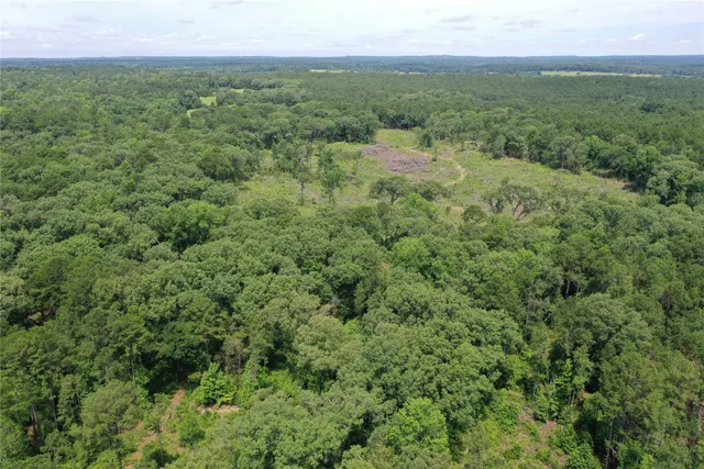 $380,000 | 501 An County Road 3703, Palestine, TX 75801