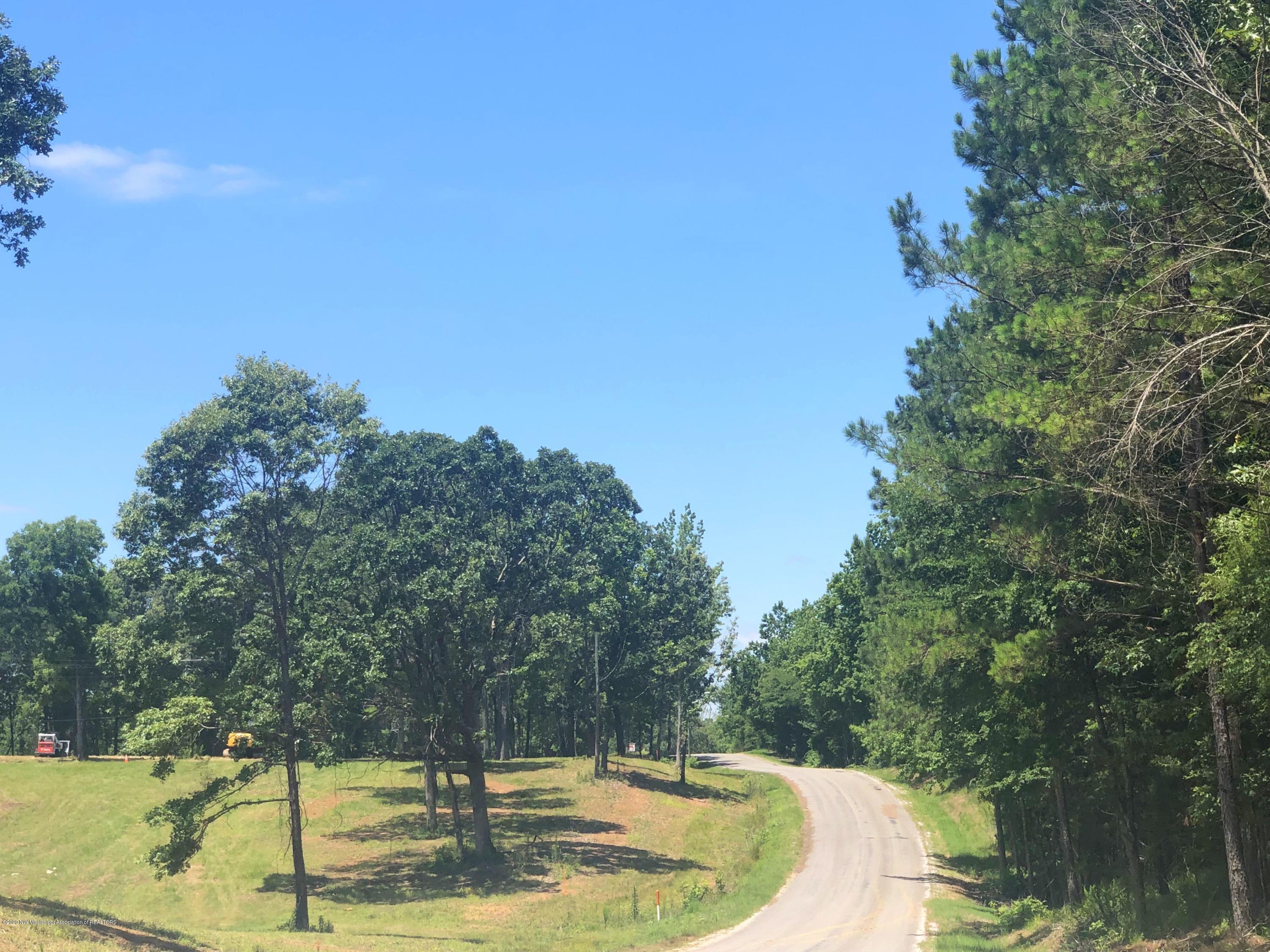 Lot 9 Brewer Road Batesville, MS 38606 - Photo 5 of 27 1.2.3
