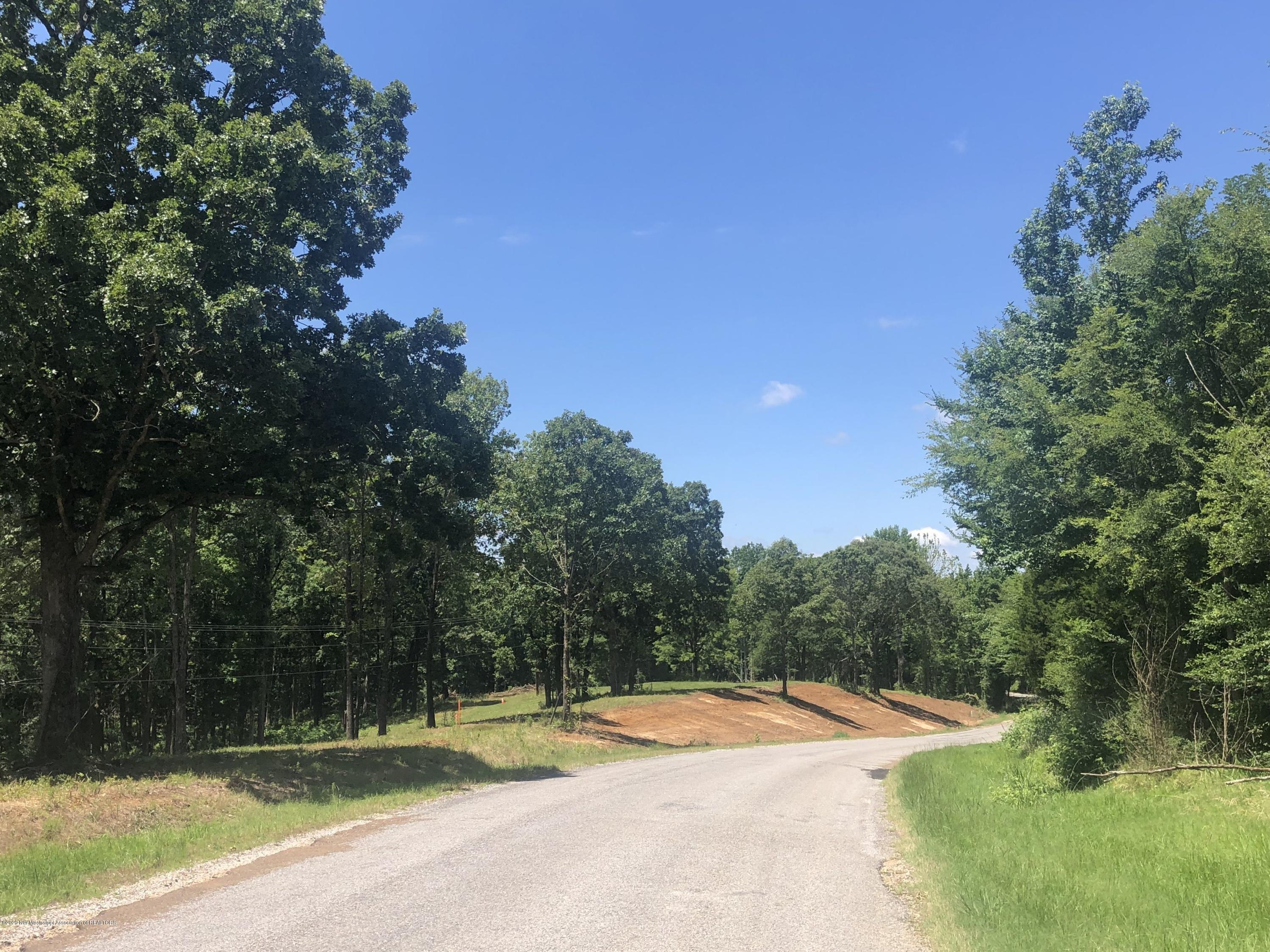 Lot 9 Brewer Road Batesville, MS 38606 - Photo 8 of 27 1.2.6