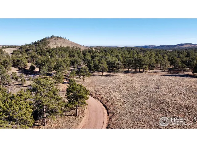 a black and white photo of a field