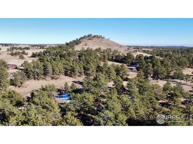 a open area with green field and trees