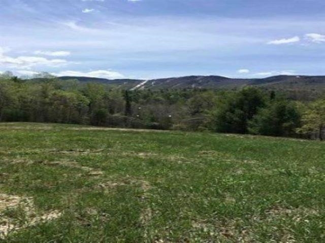 Wiggin Road, Unit 904 Danbury, NH 03230 - Photo 1 of 9