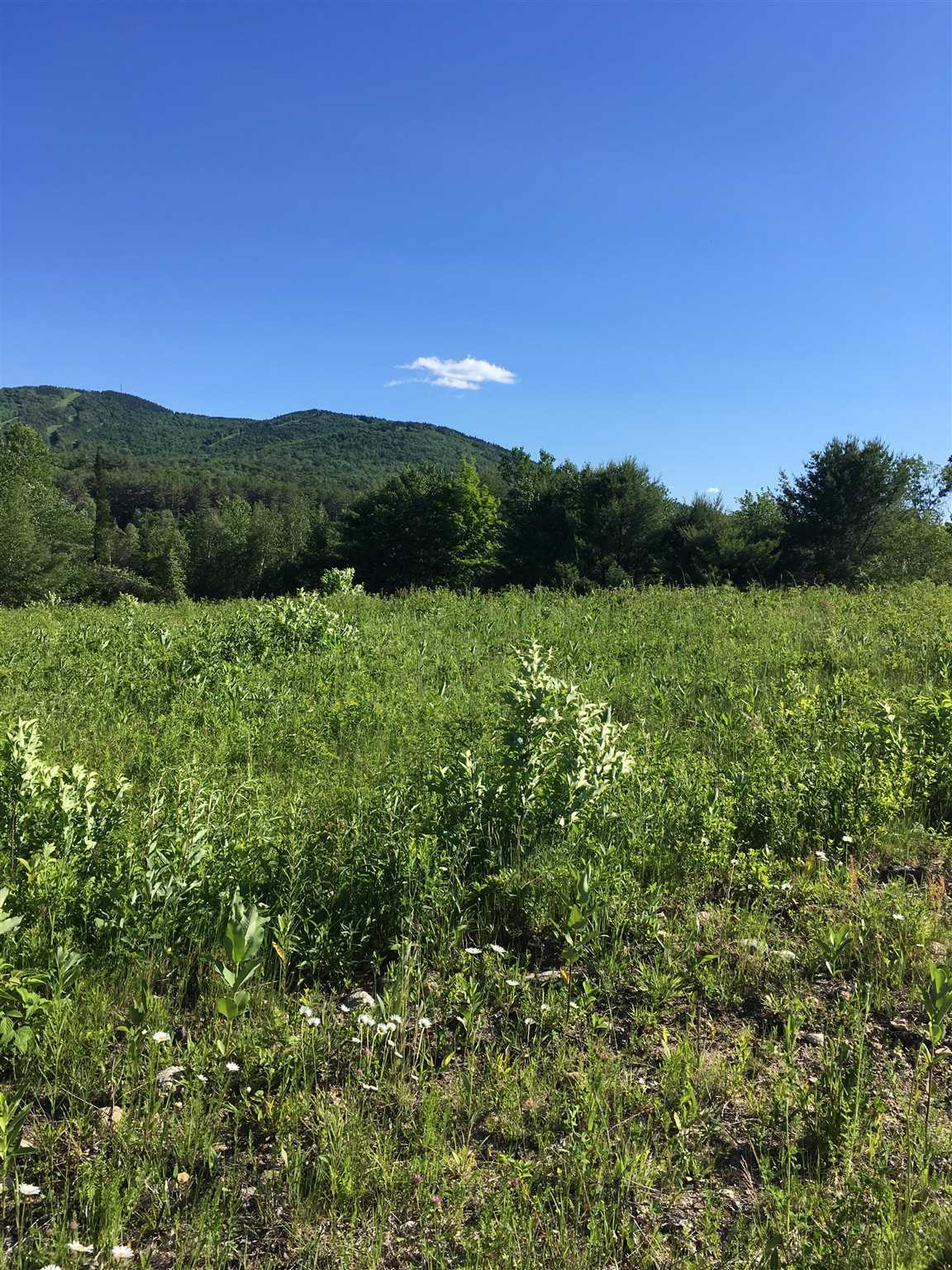 Wiggin Road, Unit 904 Danbury, NH 03230 - Photo 4 of 9