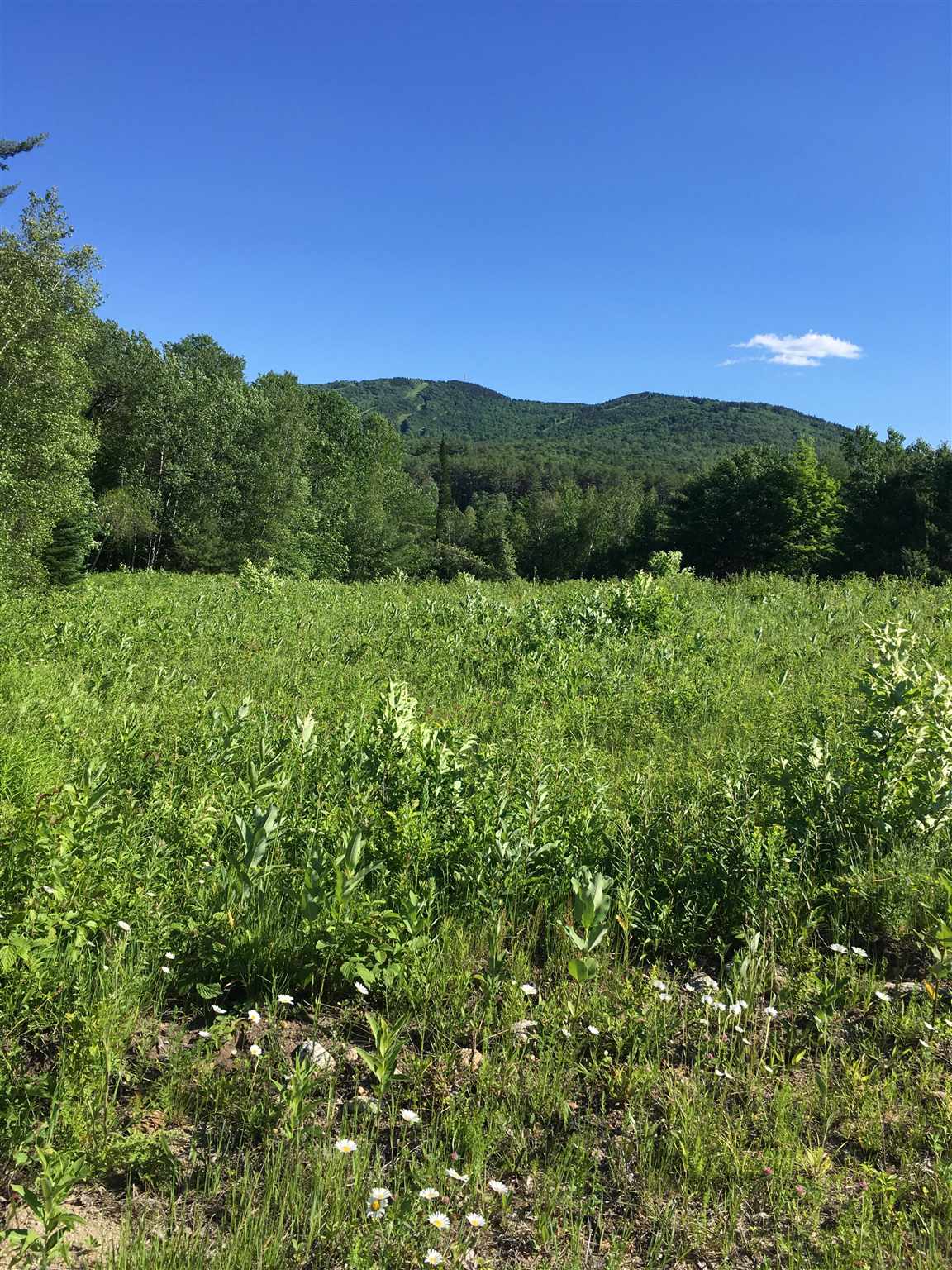 Wiggin Road, Unit 904 Danbury, NH 03230 - Photo 5 of 9