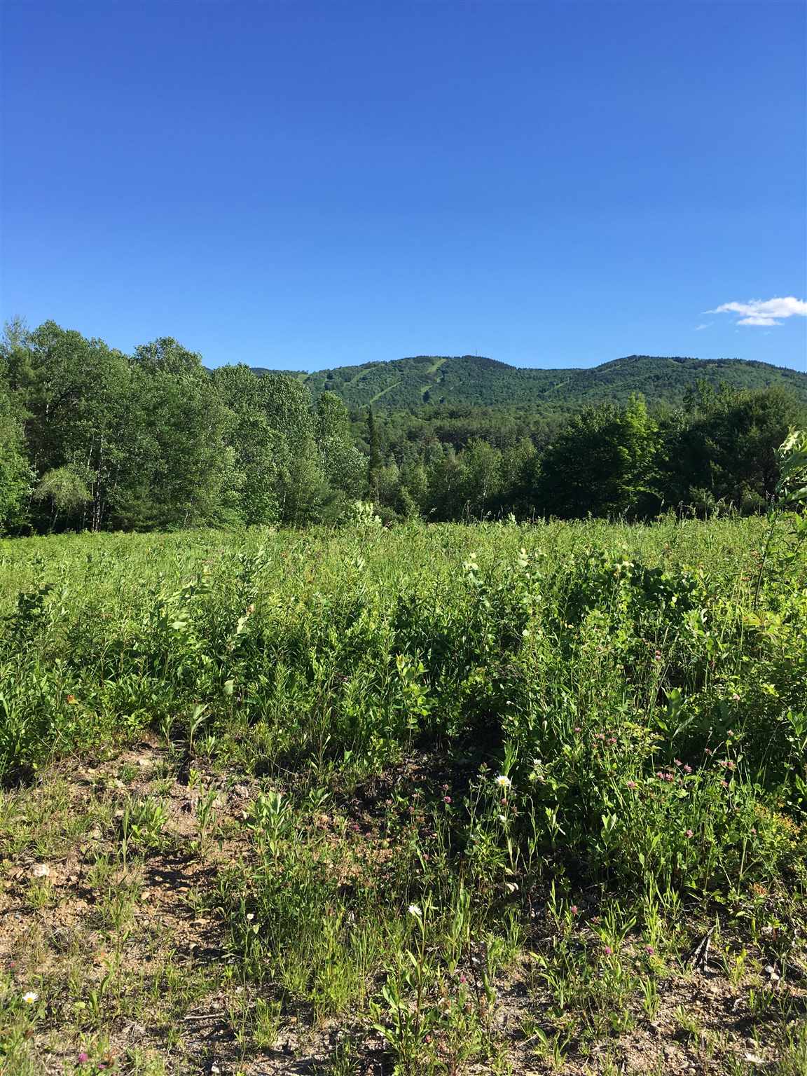 Wiggin Road, Unit 904 Danbury, NH 03230 - Photo 6 of 9