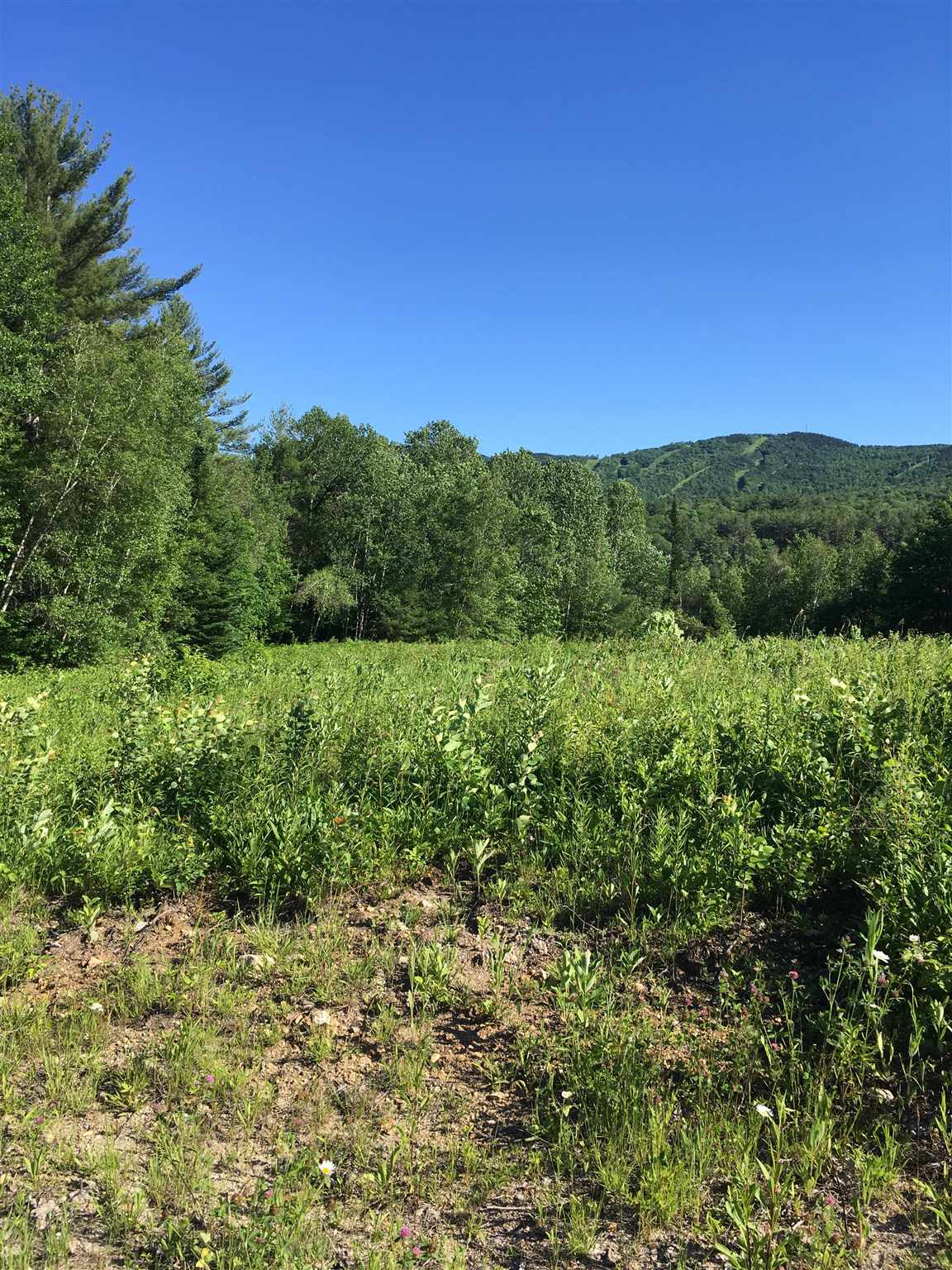 Wiggin Road, Unit 904 Danbury, NH 03230 - Photo 7 of 9