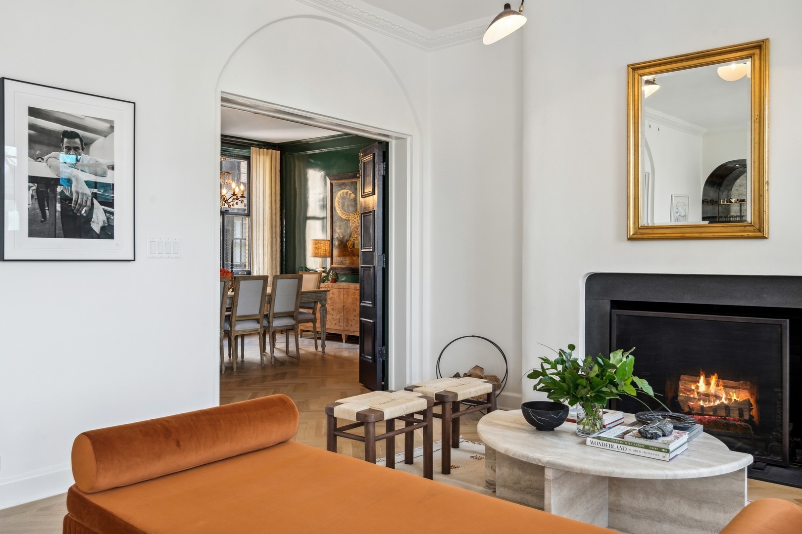 3100 North Sheridan Road, Unit 14B Chicago, IL 60657 - Photo 19 of 50 a living room with furniture a fireplace and a potted plant