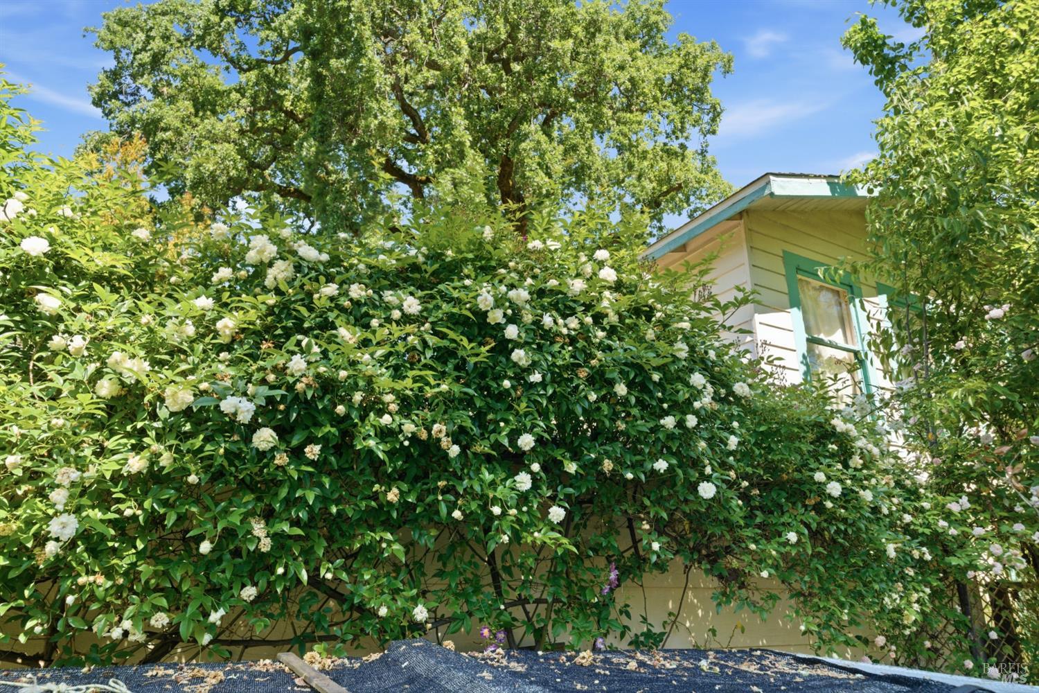 7 Marin Road Fairfax, CA 94930 - Photo 30 of 33