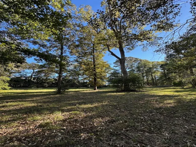 a big yard with lots of green space and trees