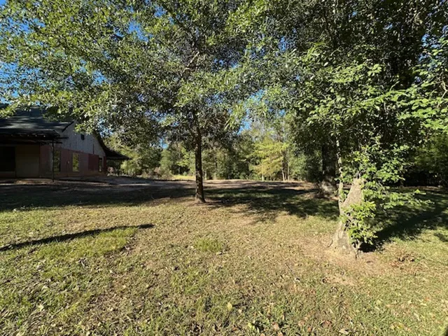 a view of backyard with green space
