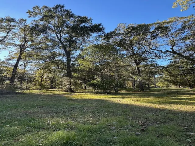 a view of a big yard
