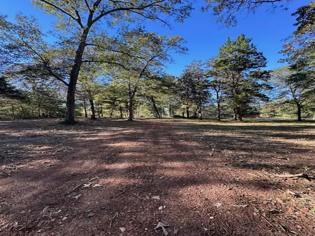 a view of a yard with a tree