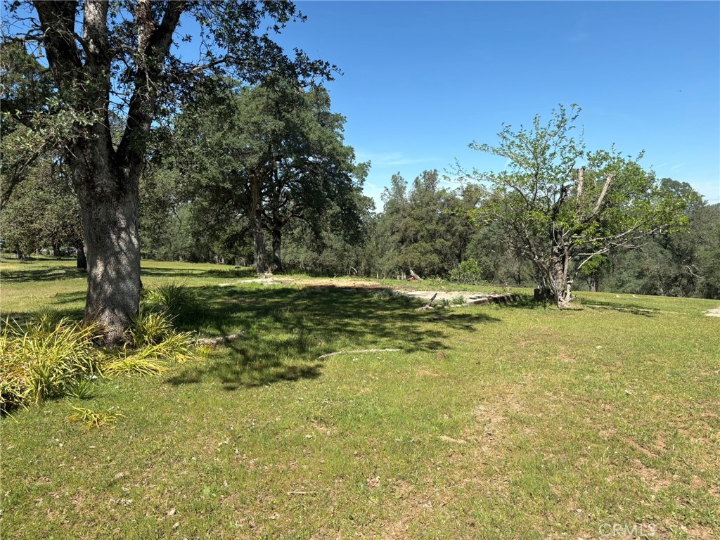 3465 Foothill Boulevard Oroville, CA 95966 - Photo 1 of 26 a view of a yard with an outdoor space