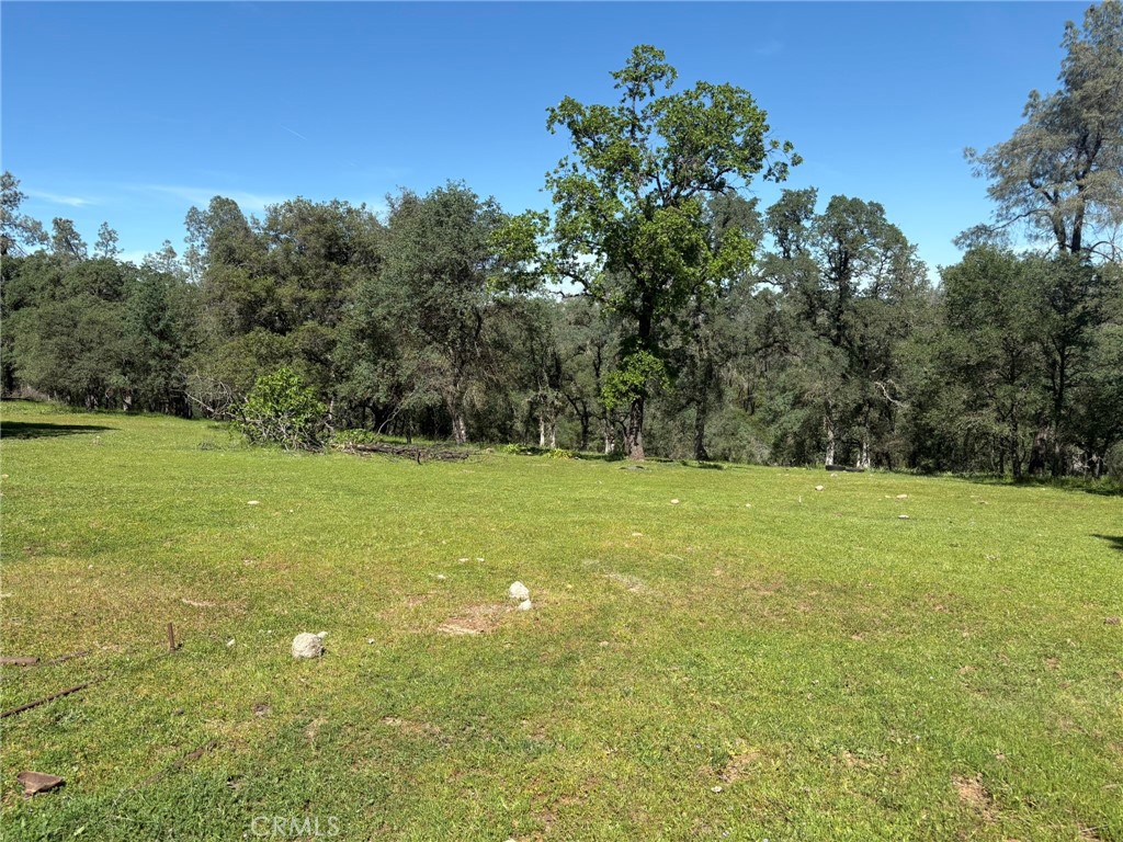 3465 Foothill Boulevard Oroville, CA 95966 - Photo 11 of 26 a view of a field with trees in the background