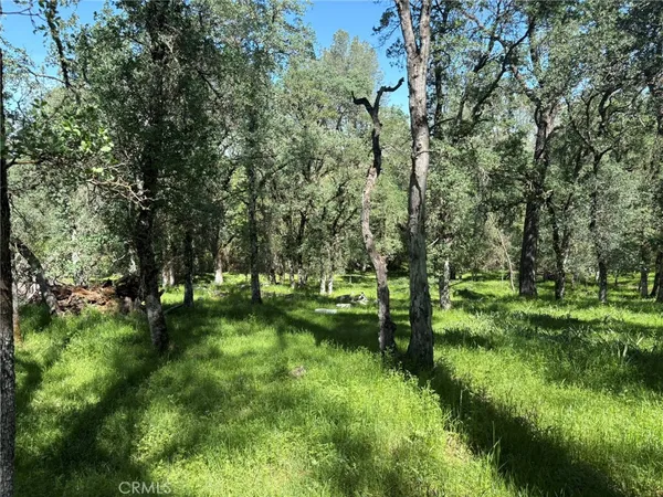 $125,000 | 3465 Foothill Boulevard, Oroville, CA 95966