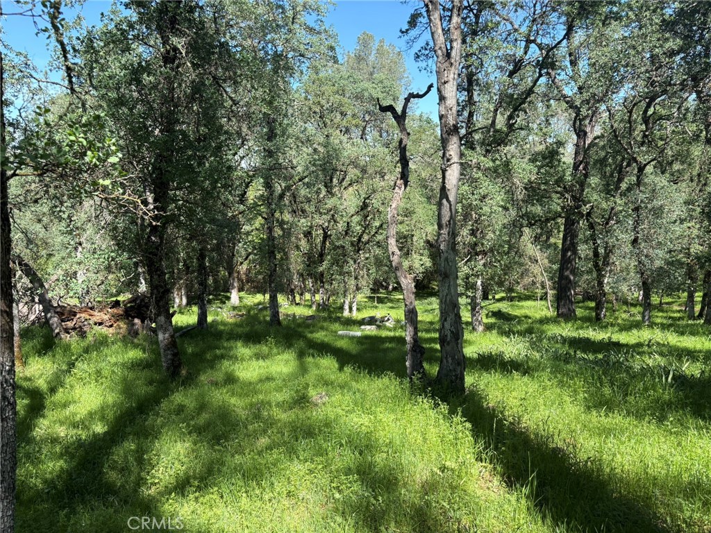 3465 Foothill Boulevard Oroville, CA 95966 - Photo 15 of 26 a view of yard with green space