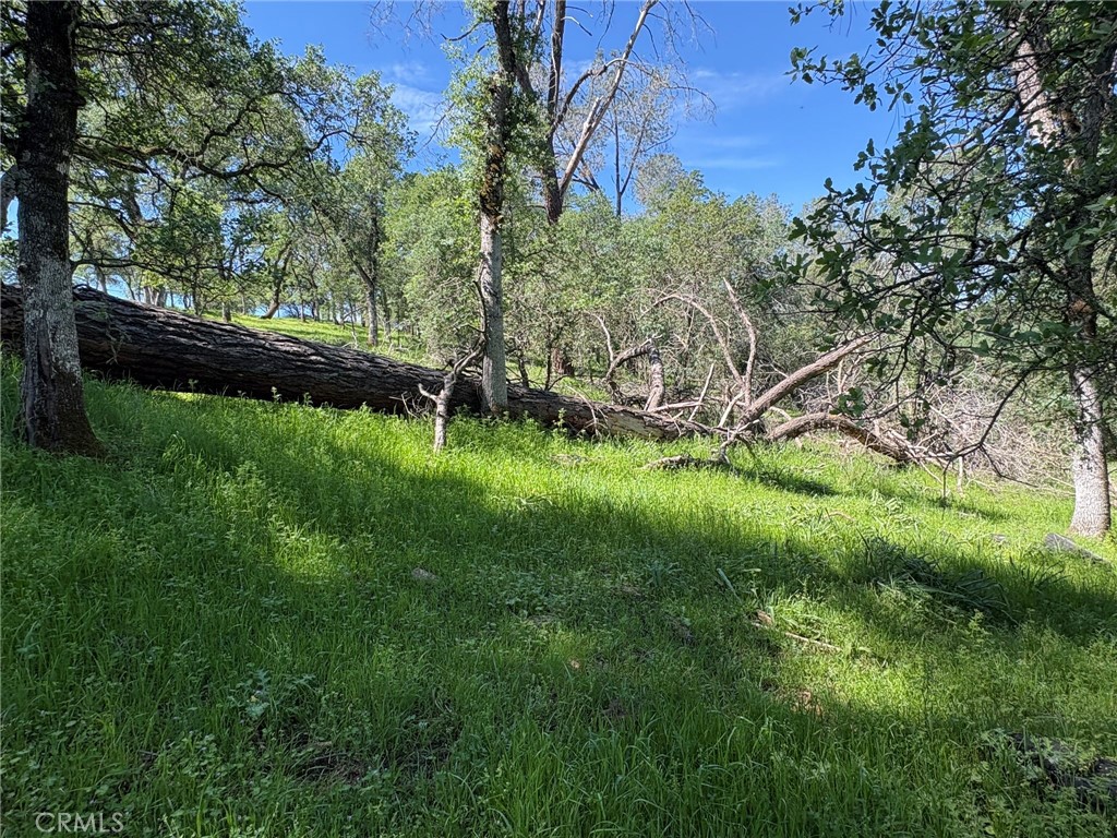 3465 Foothill Boulevard Oroville, CA 95966 - Photo 16 of 26 a view of an outdoor space