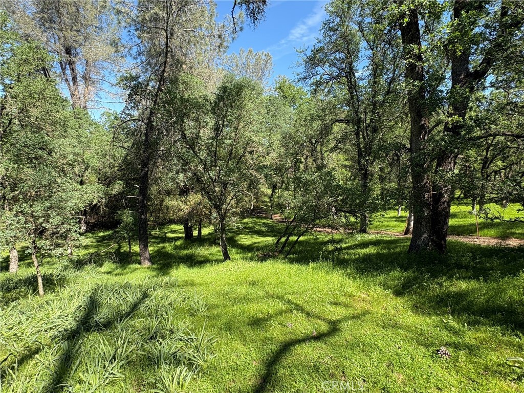 3465 Foothill Boulevard Oroville, CA 95966 - Photo 18 of 26 a view of a garden with a tree