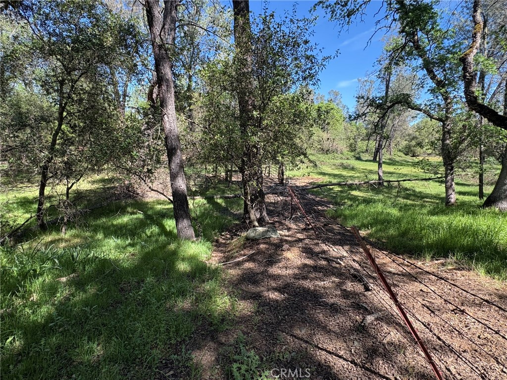 3465 Foothill Boulevard Oroville, CA 95966 - Photo 19 of 26 a view of a garden with trees