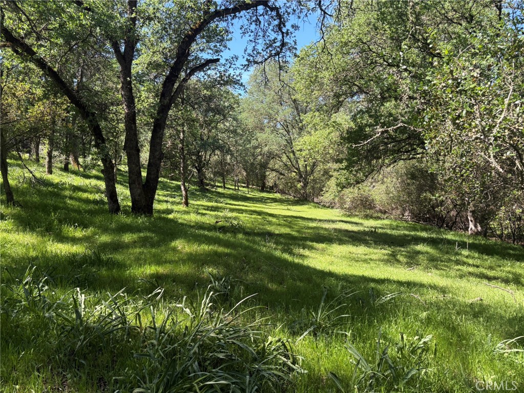 3465 Foothill Boulevard Oroville, CA 95966 - Photo 20 of 26 a view of a golf course with a tree