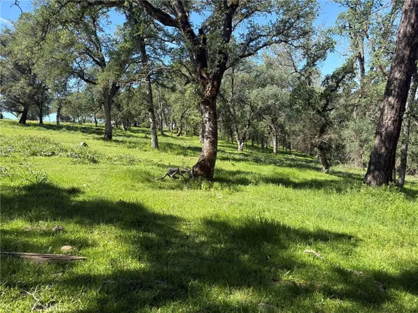 $125,000 | 3465 Foothill Boulevard, Oroville, CA 95966