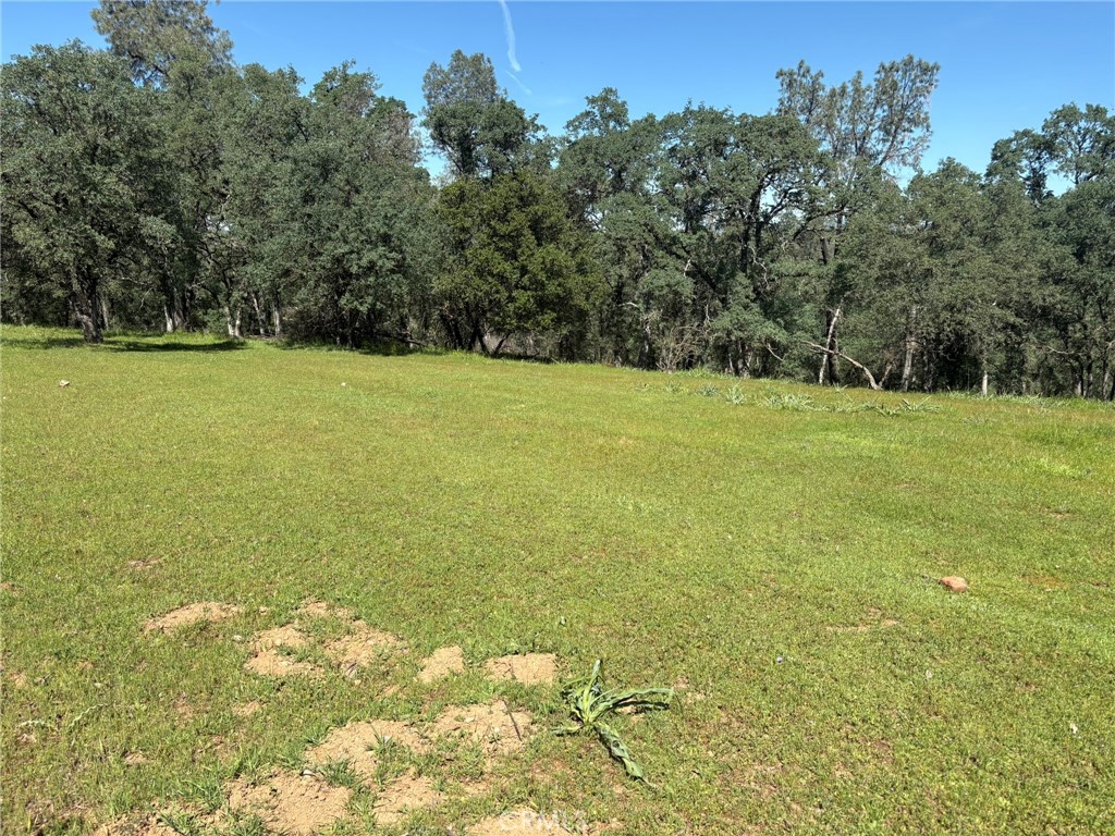 3465 Foothill Boulevard Oroville, CA 95966 - Photo 23 of 26 a view of an ocean and a yard