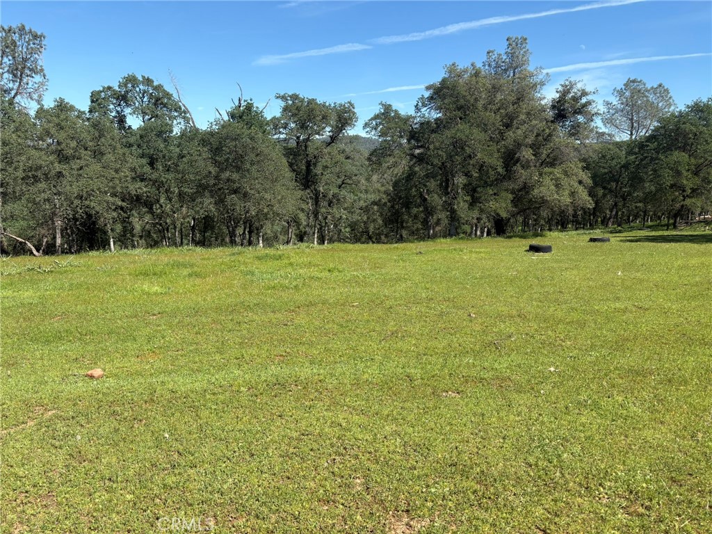 3465 Foothill Boulevard Oroville, CA 95966 - Photo 24 of 26 a view of outdoor space and yard