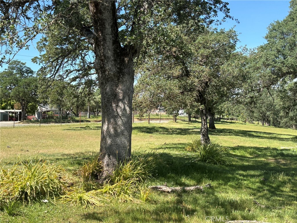 3465 Foothill Boulevard Oroville, CA 95966 - Photo 4 of 26 a view of an trees with a yard