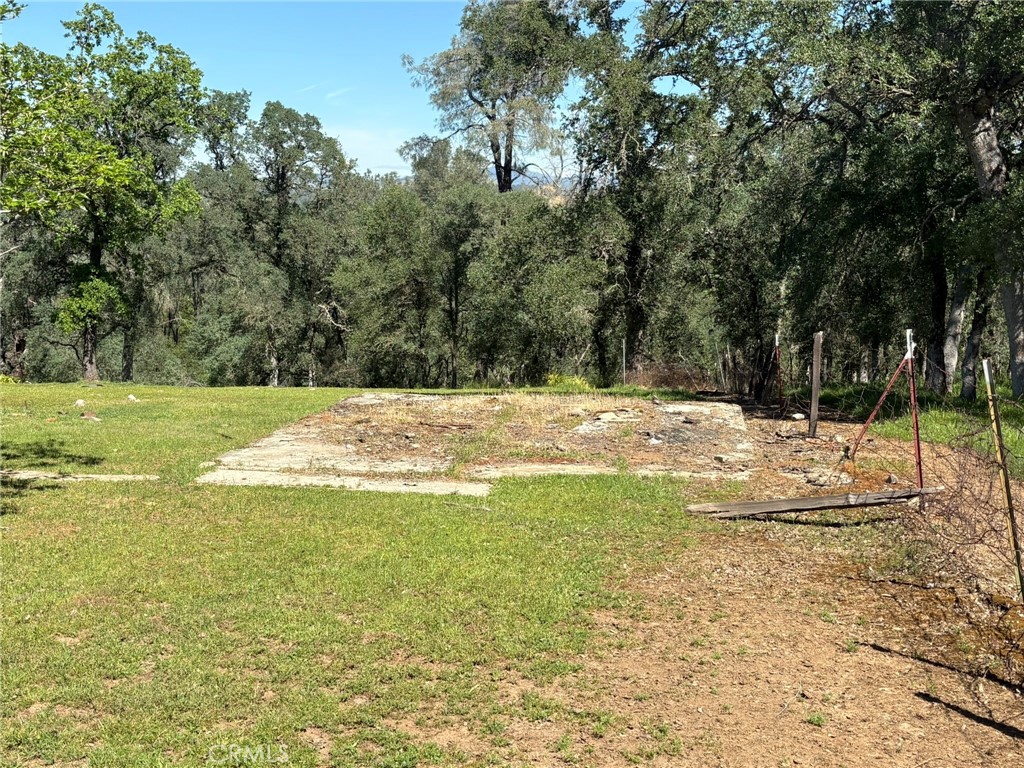 3465 Foothill Boulevard Oroville, CA 95966 - Photo 6 of 26 a view of a yard with a trees