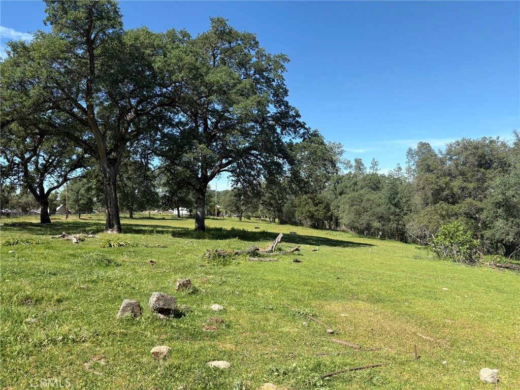 3465 Foothill Boulevard Oroville, CA 95966 - Photo 9 of 26 a view of a park with large trees