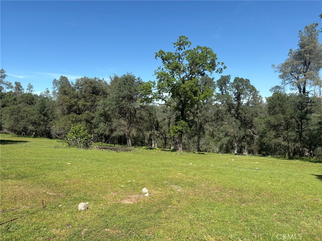 3465 Foothill Boulevard Oroville, CA 95966 - Photo 10 of 26 a view of a field with trees in the background