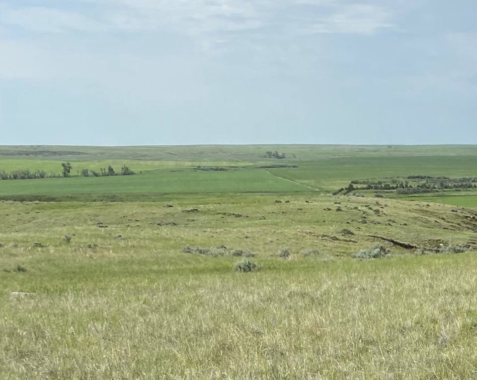 0 Nickwall Road Wolf Point, MT 59201 - Photo 9 of 15 Gallery Image 9