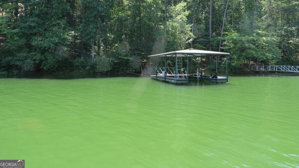 237 Waters Edge Court Martin, GA 30557 - Photo 6 of 33