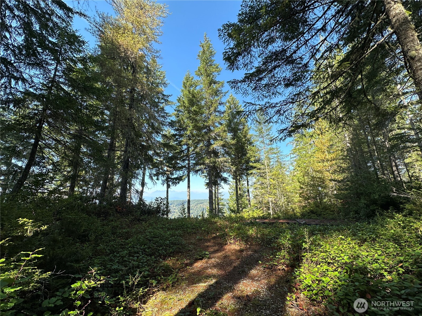 0 East Windstar Road Union, WA 98592 - Photo 3 of 14