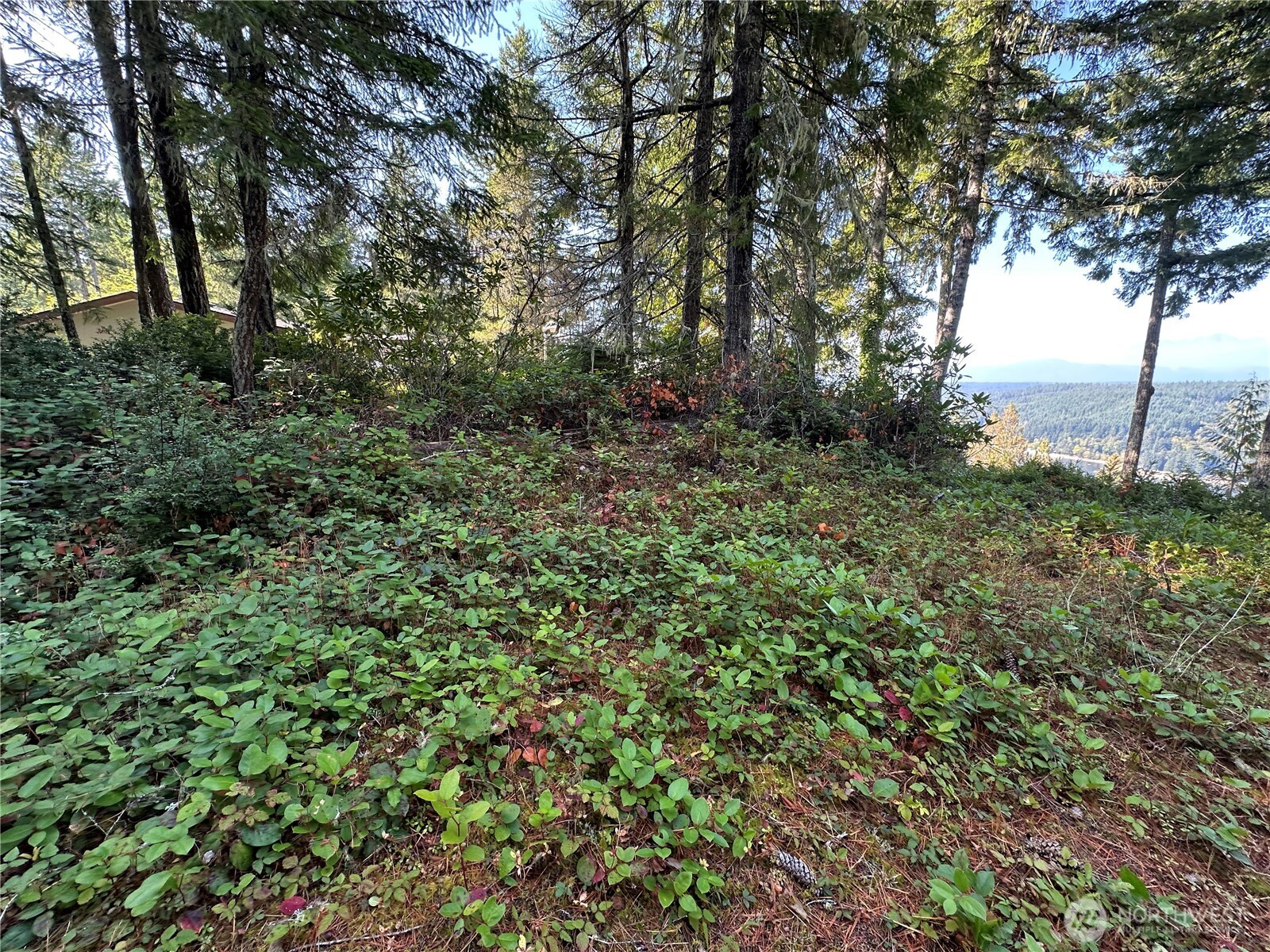 0 East Windstar Road Union, WA 98592 - Photo 4 of 14