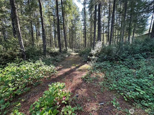 $152,000 | 0 East Windstar Road, Union, WA 98592