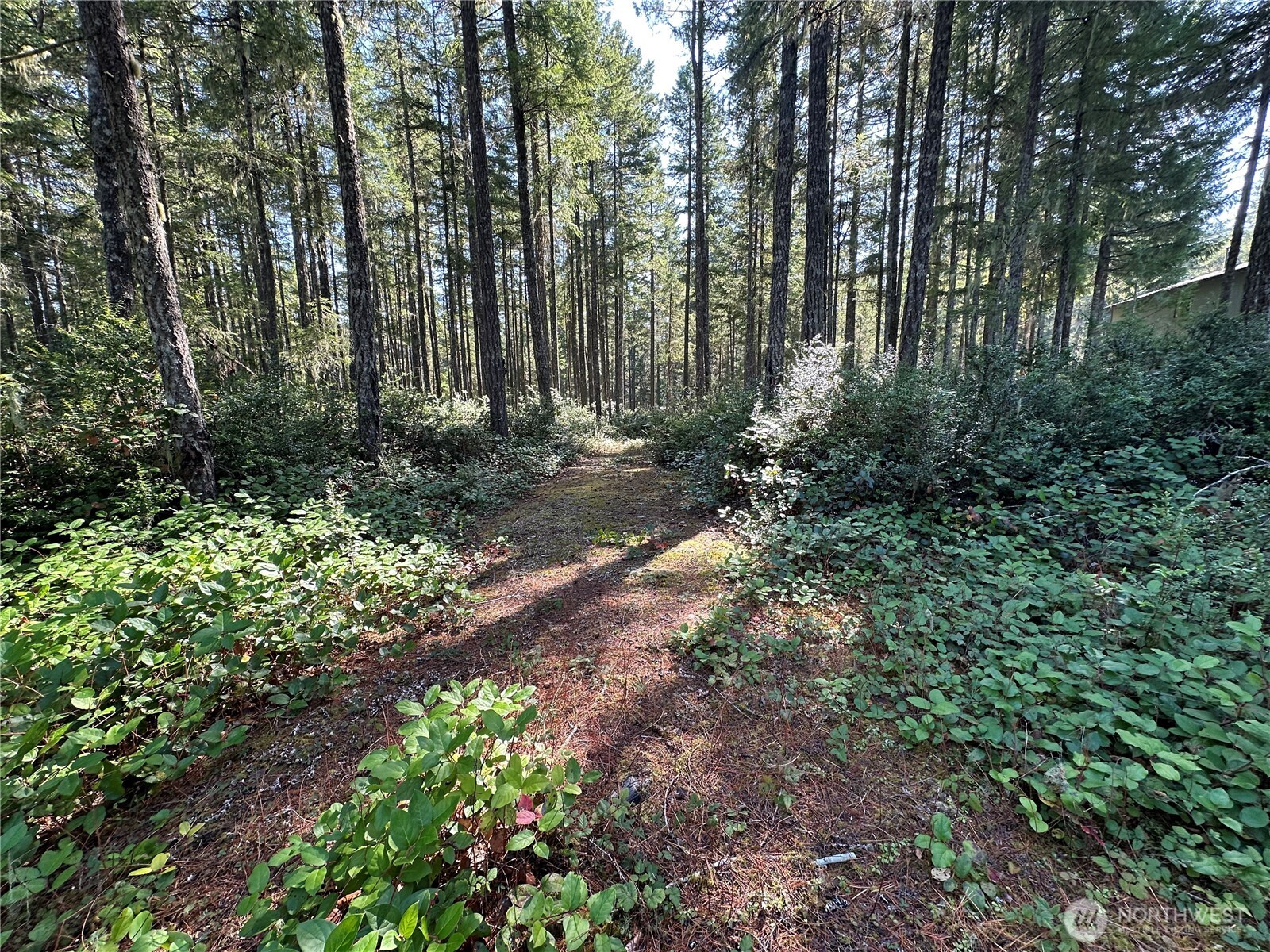 0 East Windstar Road Union, WA 98592 - Photo 5 of 14