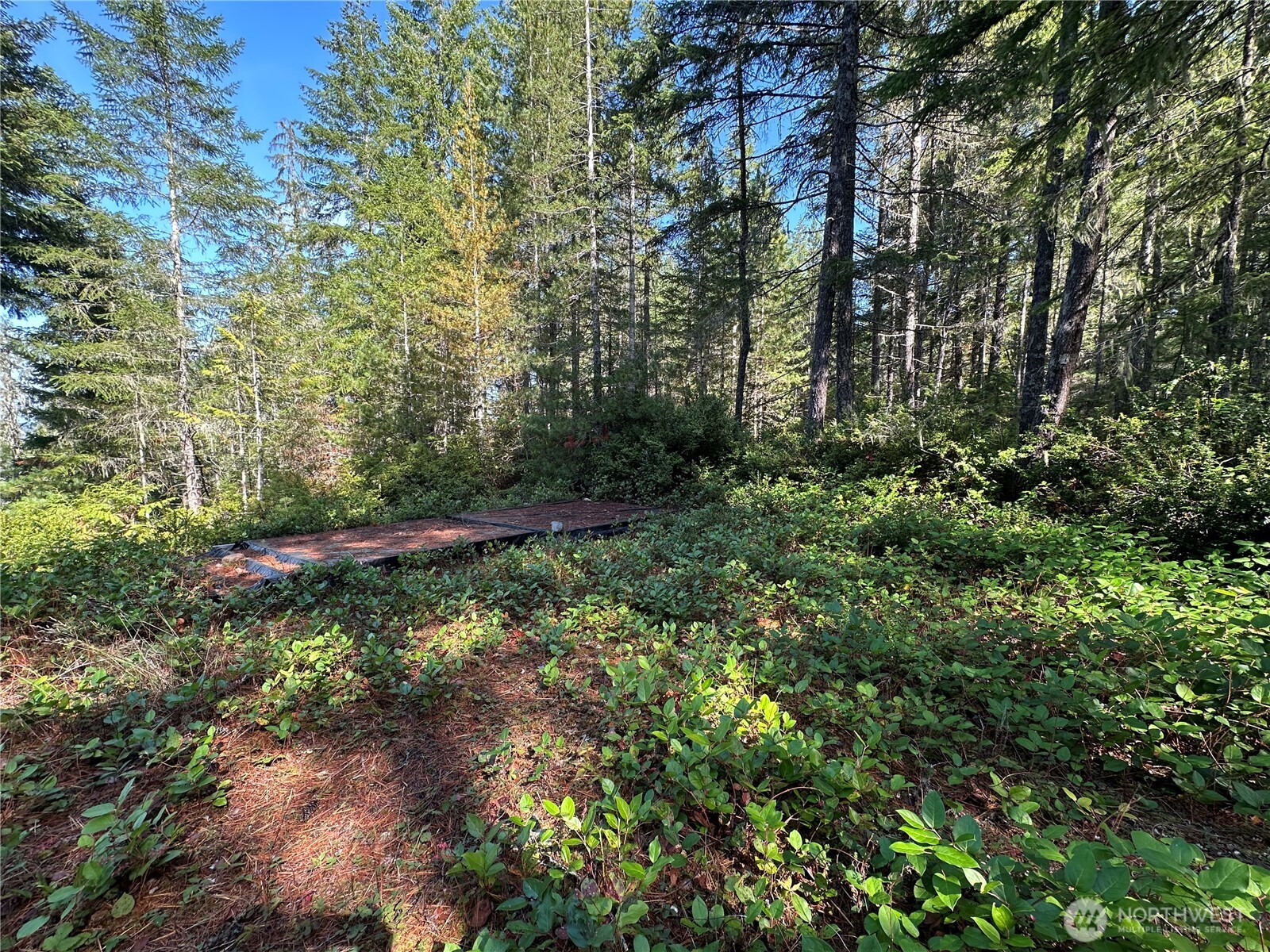 0 East Windstar Road Union, WA 98592 - Photo 8 of 14