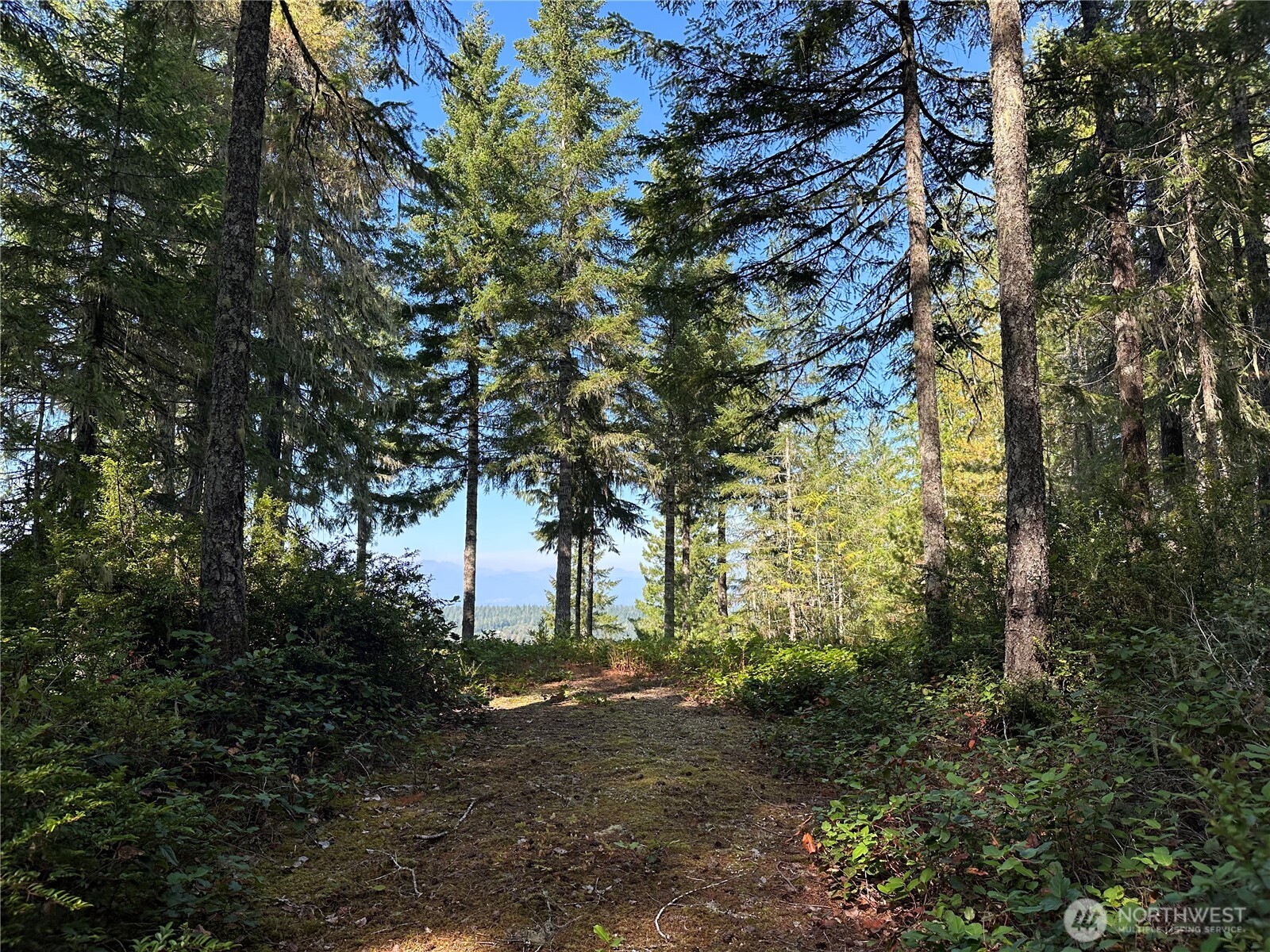 0 East Windstar Road Union, WA 98592 - Photo 9 of 14