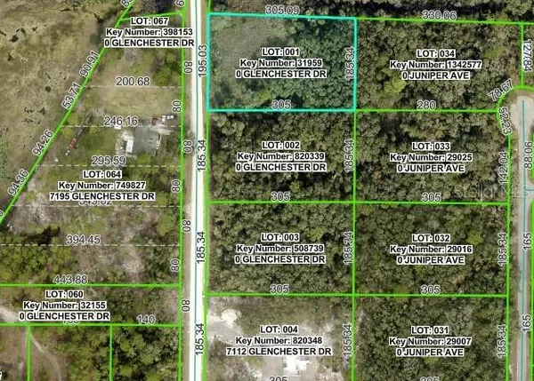 $41,900 | 7222 Glenchester Drive, Webster, FL 33597