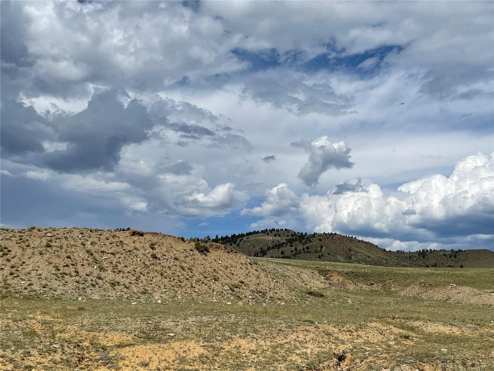 1790 Jackson Road Hartsel, CO 80449 - Photo 8 of 11 Gallery Image 8