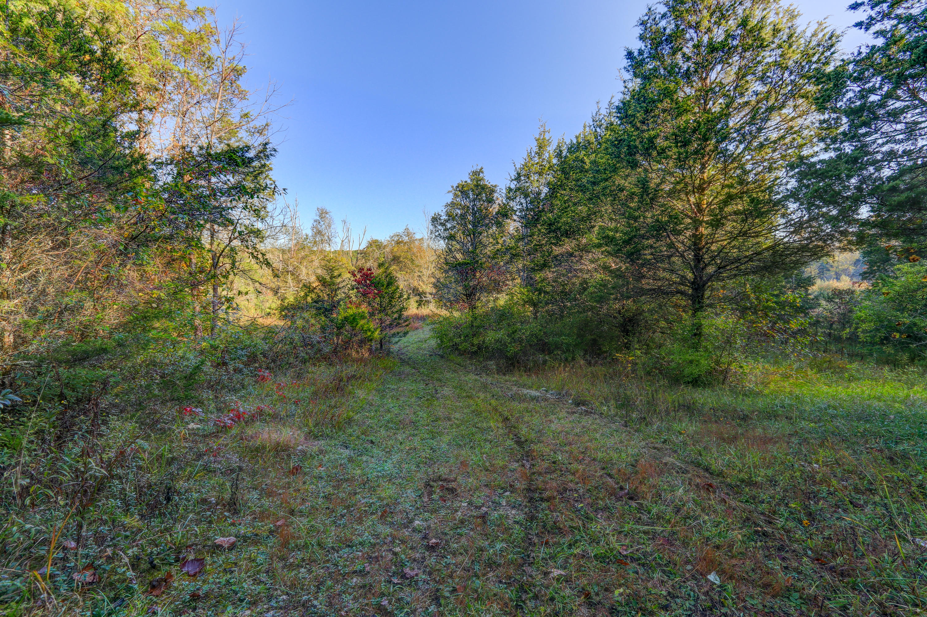4923 East Emory Road Knoxville, TN 37938 - Photo 14 of 21 Positive Perceptions-9