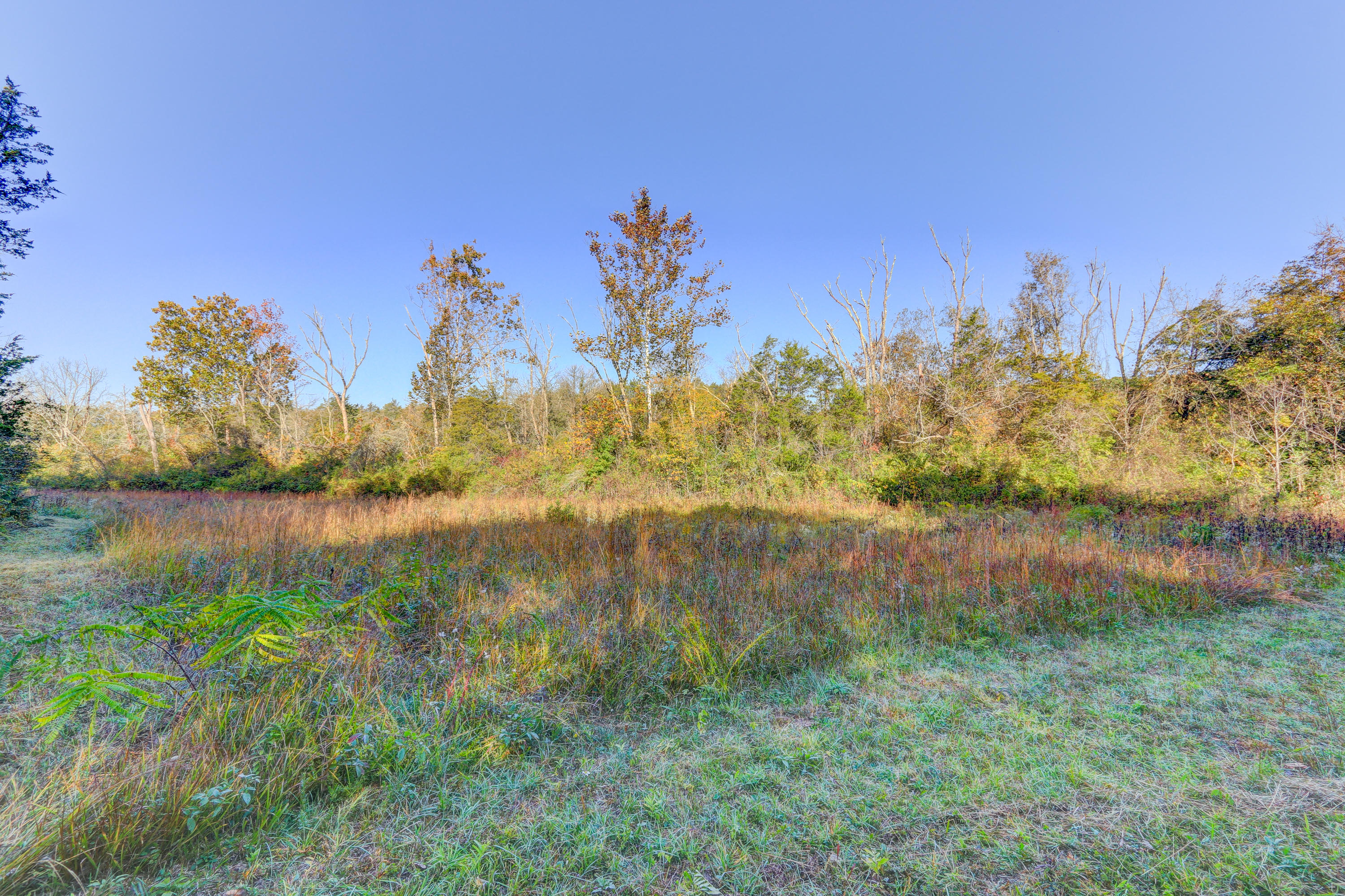 4923 East Emory Road Knoxville, TN 37938 - Photo 15 of 21 Positive Perceptions-10