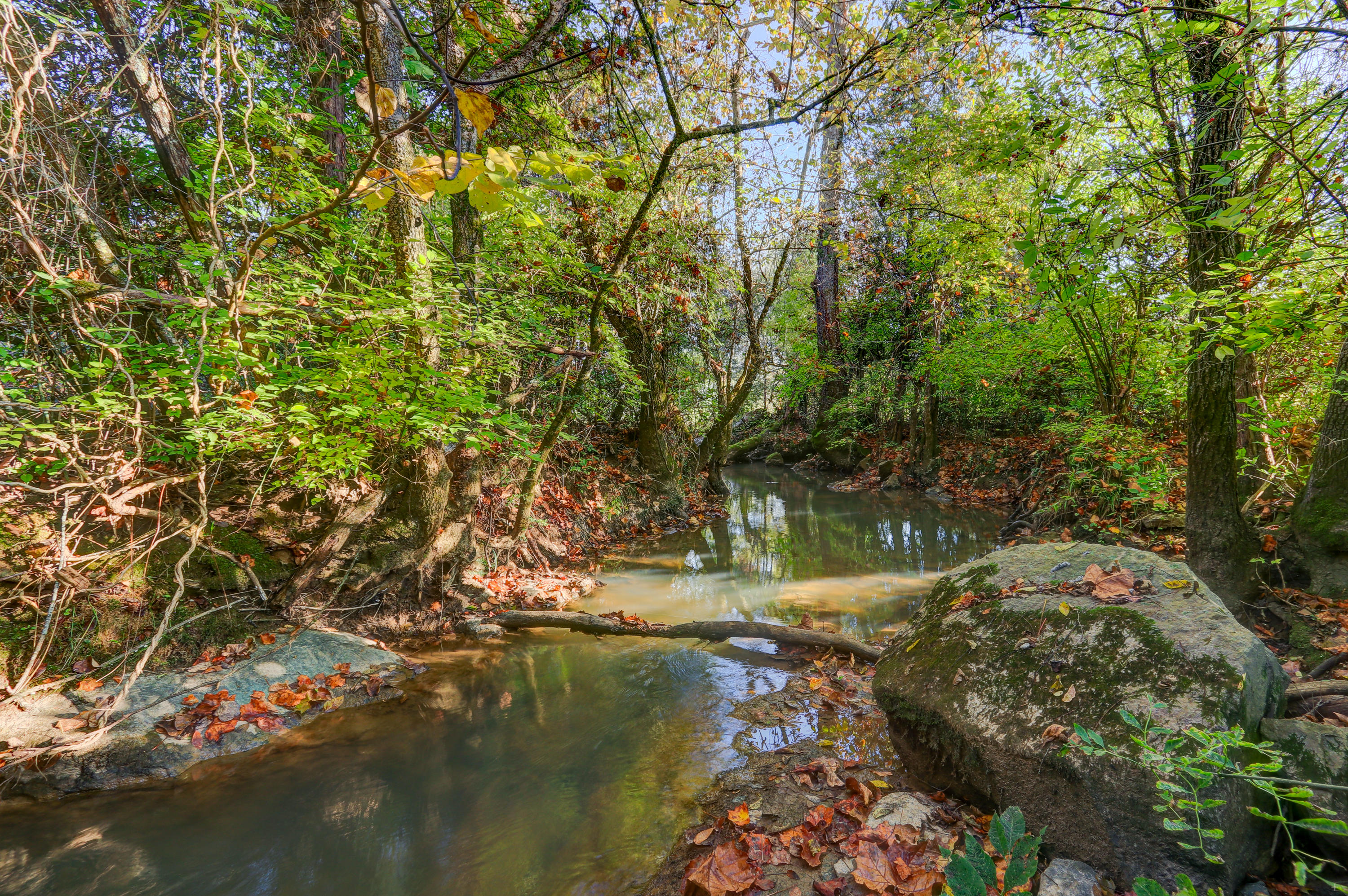 4923 East Emory Road Knoxville, TN 37938 - Photo 5 of 21 Positive Perceptions-13