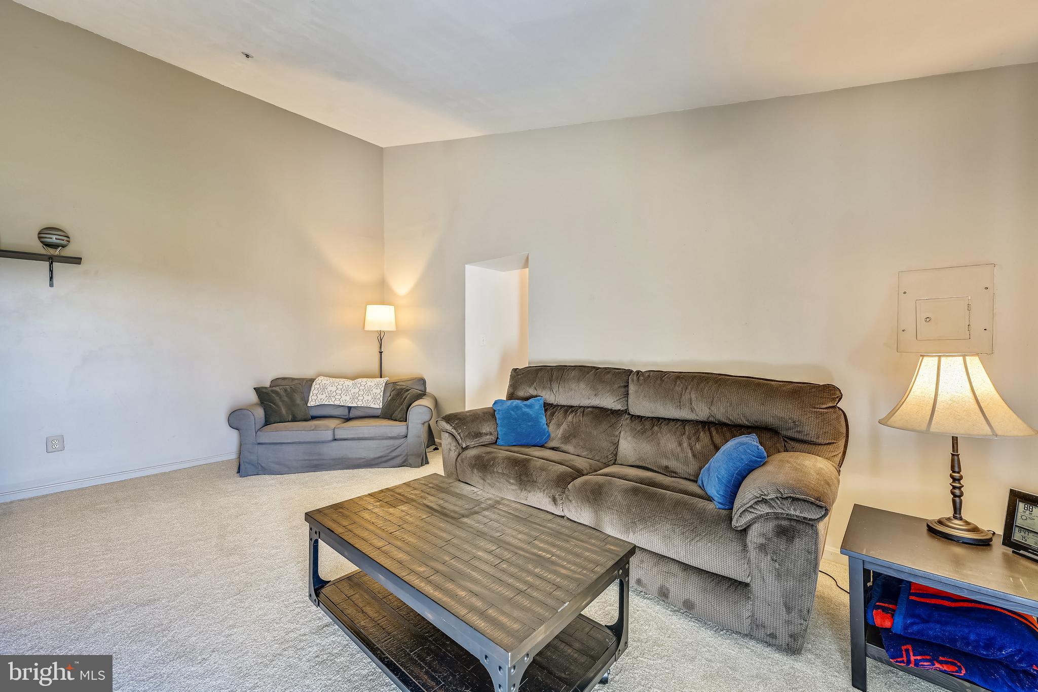 8341 Montgomery Run Road, Unit J Ellicott City, MD 21043 - Photo 23 of 39 Living Room