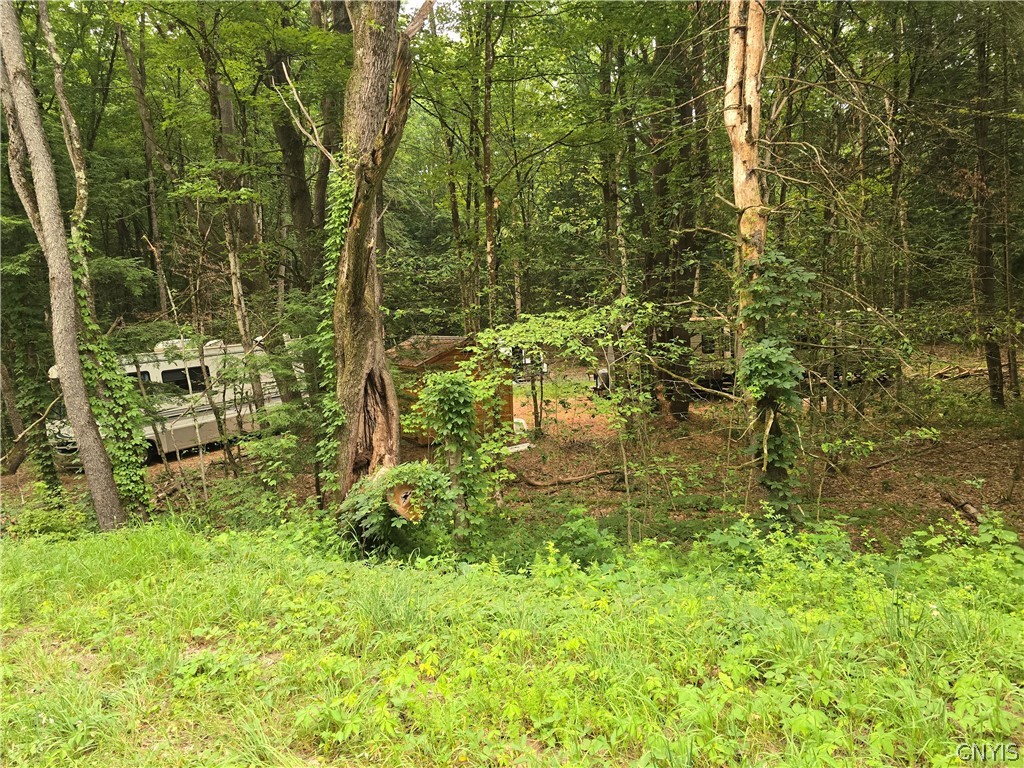 8376 Dixon Road Vienna, NY 13316 - Photo 2 of 4